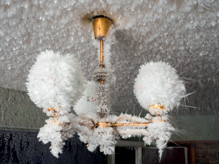 AUBER 2021 ParcoursPhoto IMG2