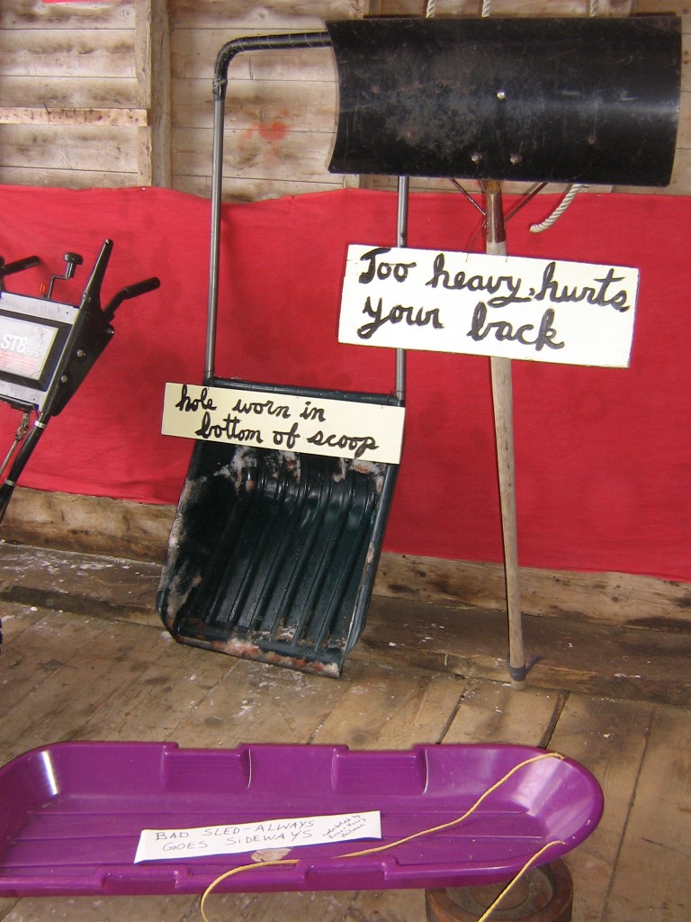 Alexis 2021 EverydayLife IMG3