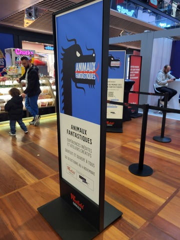 IMG INTRO GUARINO 2024 Supermarketlady