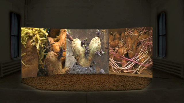 LORIOT 2025 DE CINEASTE A PLASTICIENNE AGNES VARDA IMG1