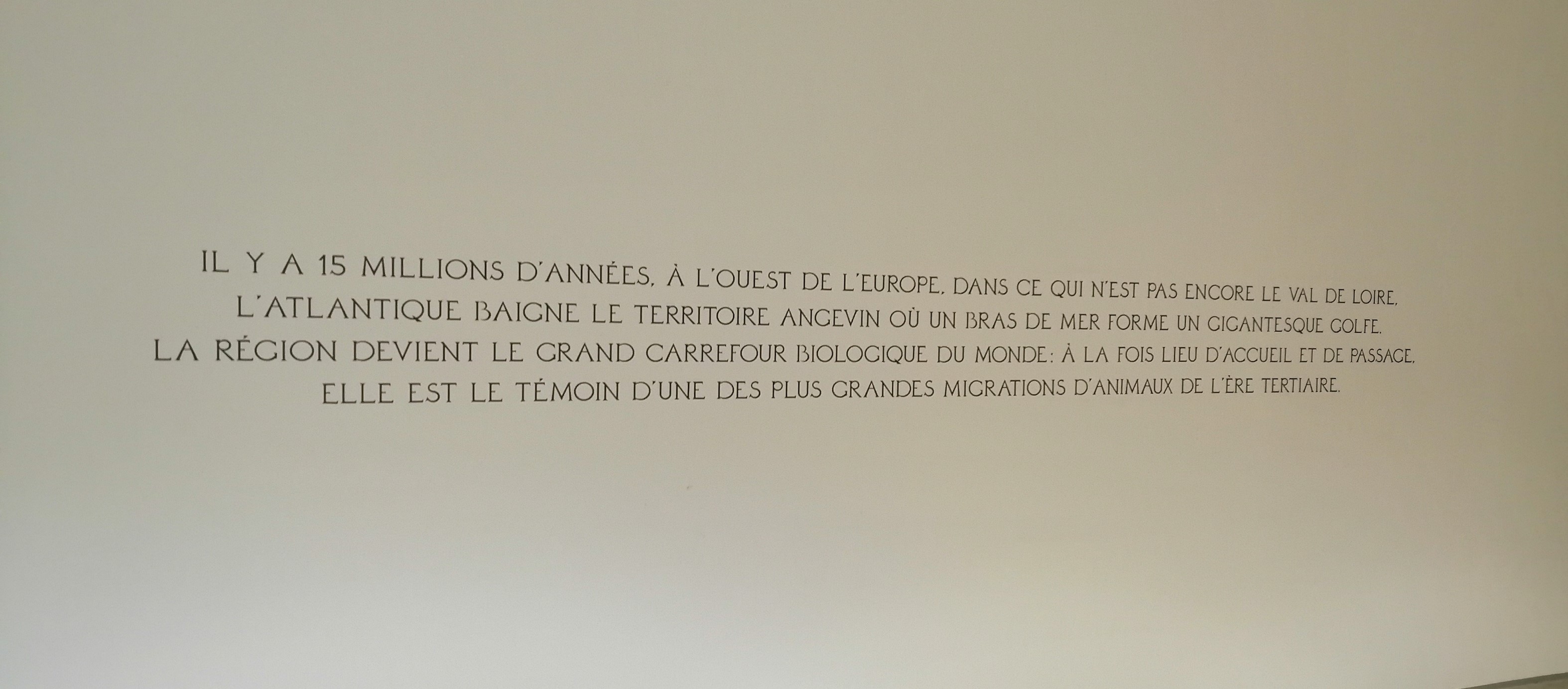 MATHIEU GARANCE Au temps des faluns visite dexposition à 15 millions dannées IMG1