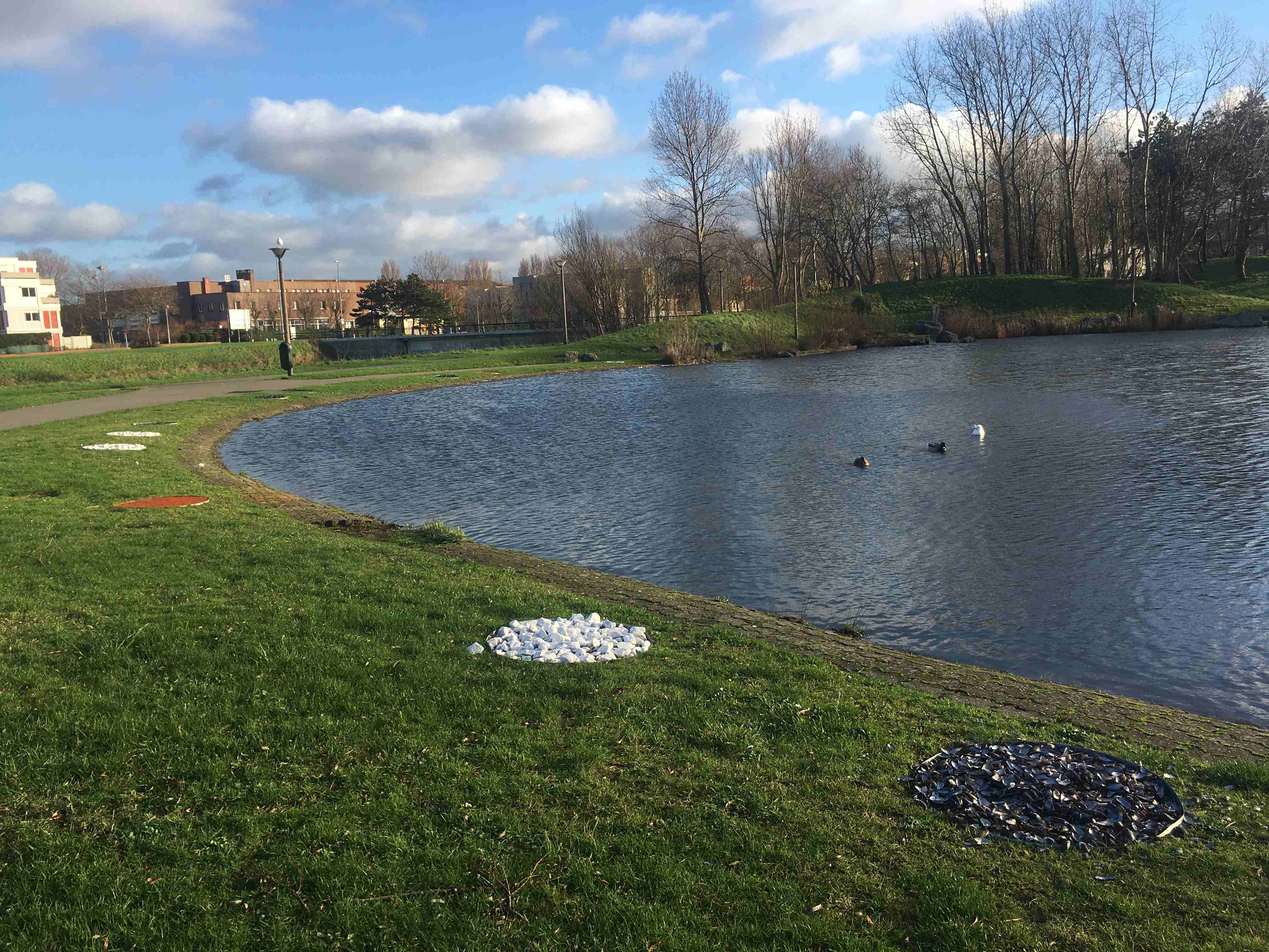 ROY MARION MARINETTECUECO IMG13 compressed