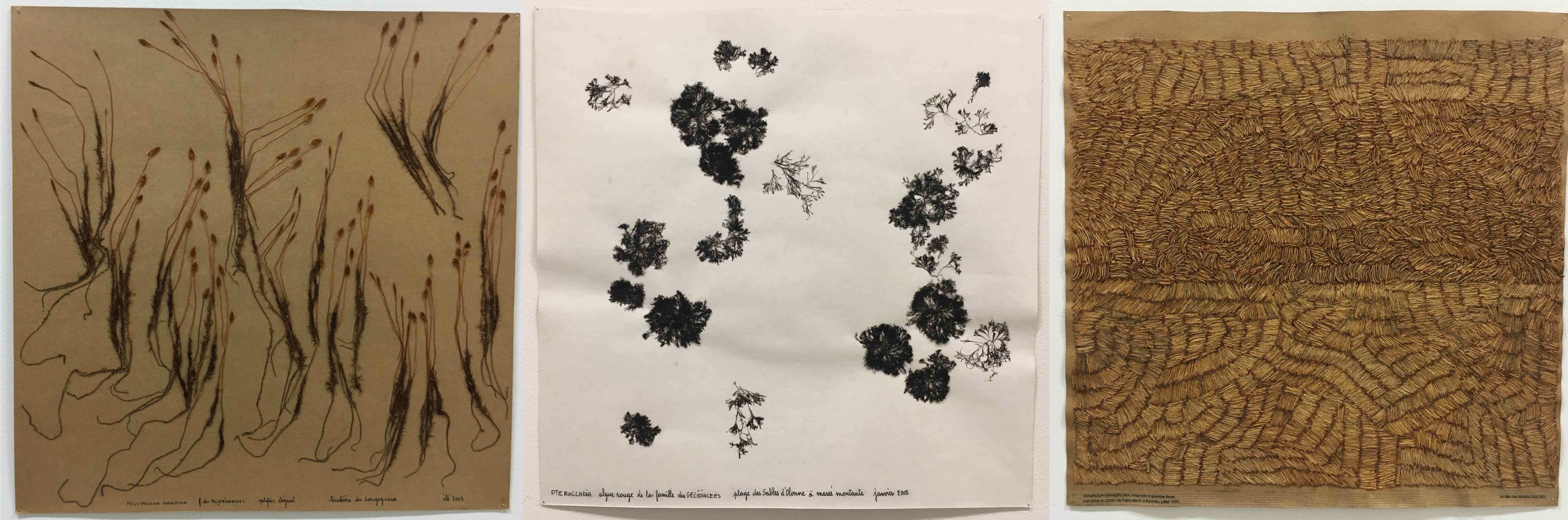 ROY MARION MARINETTECUECO IMG5 compressed