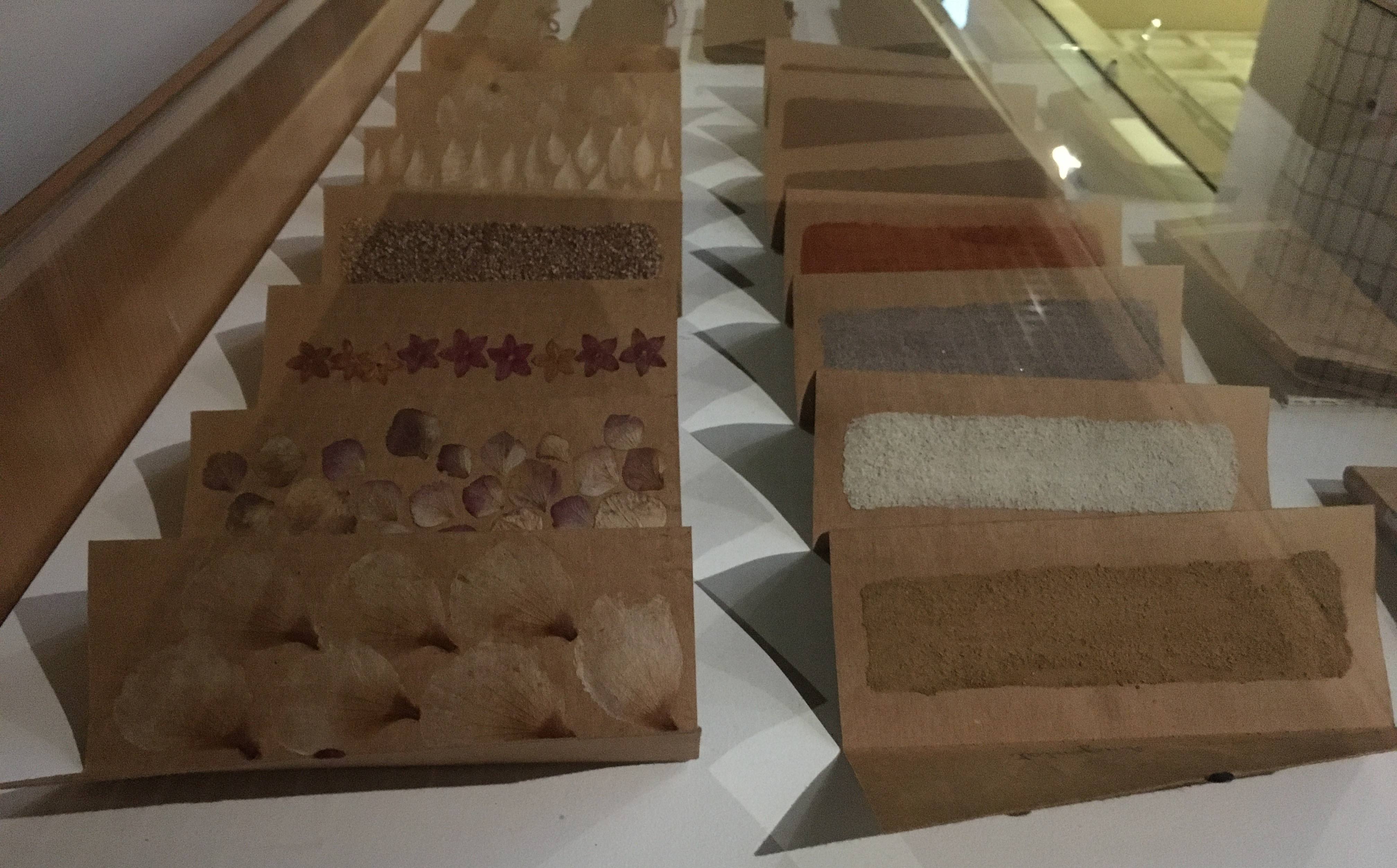 ROY MARION MARINETTECUECO IMG6 compressed