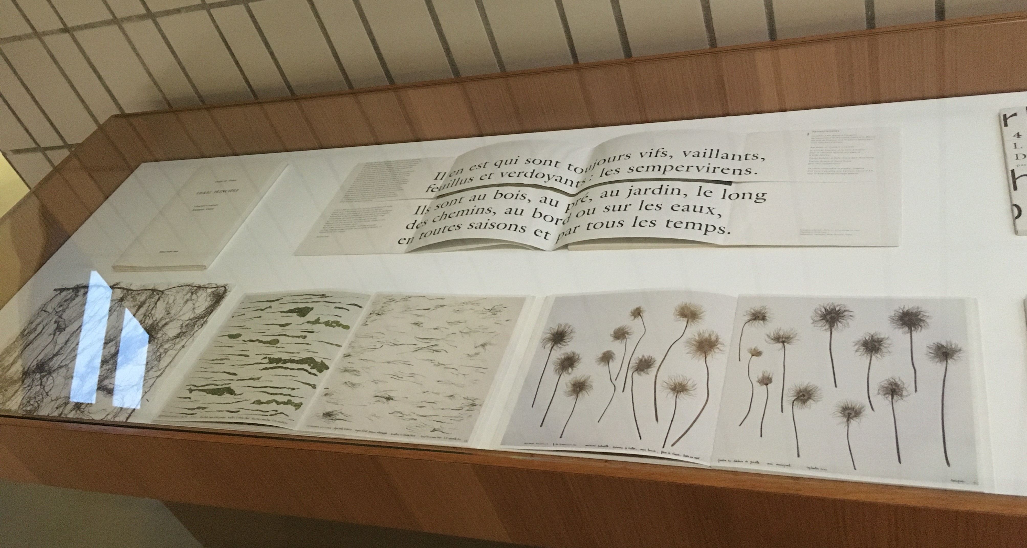 ROY MARION MARINETTECUECO IMG7 compressed