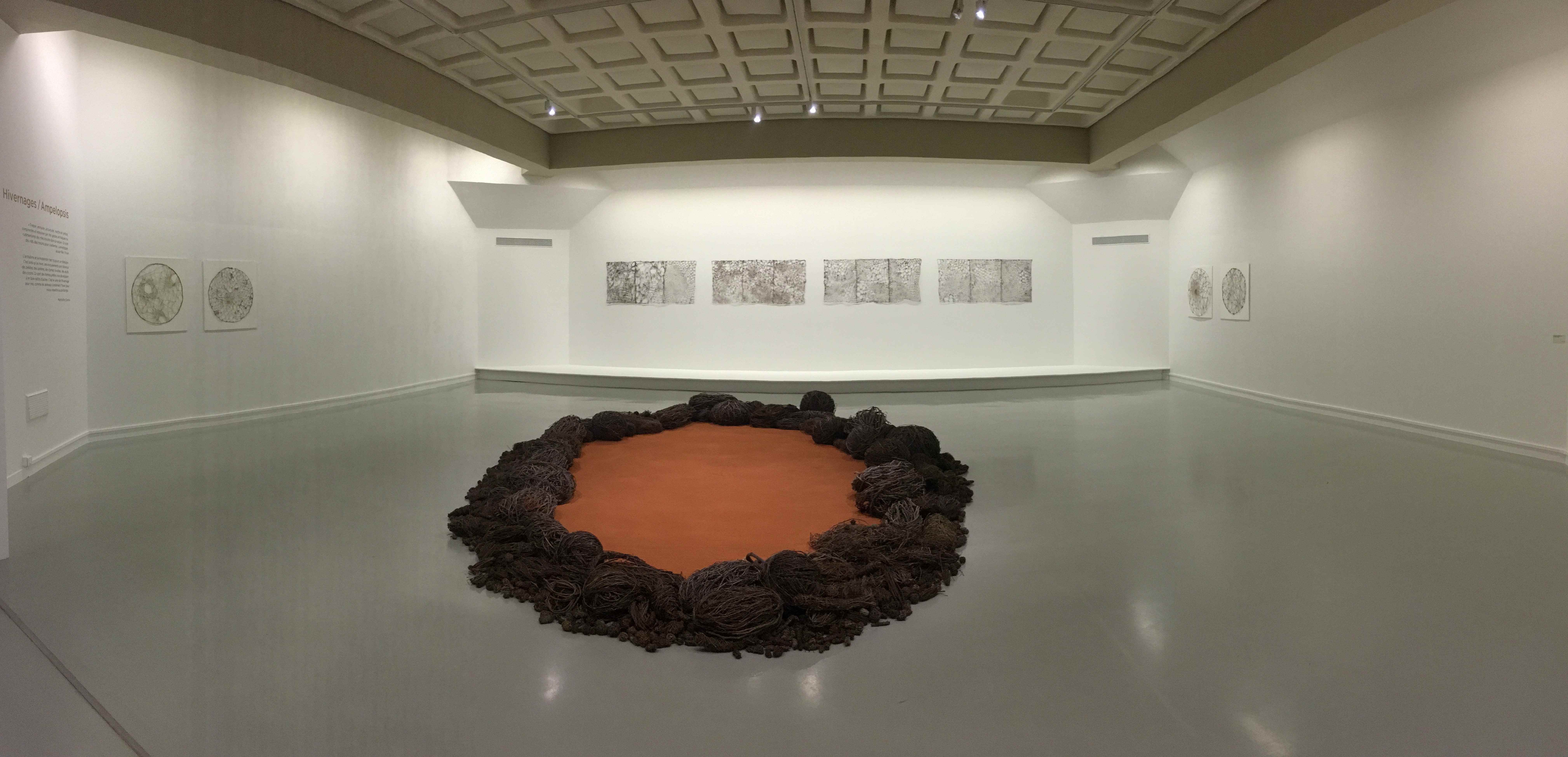 ROY MARION MARINETTECUECO IMG8 compressed