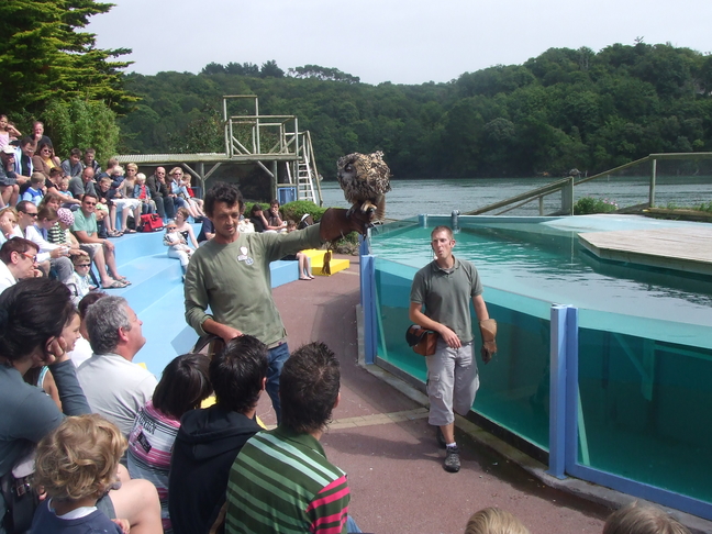 Toulemont Manon Animédiation img3