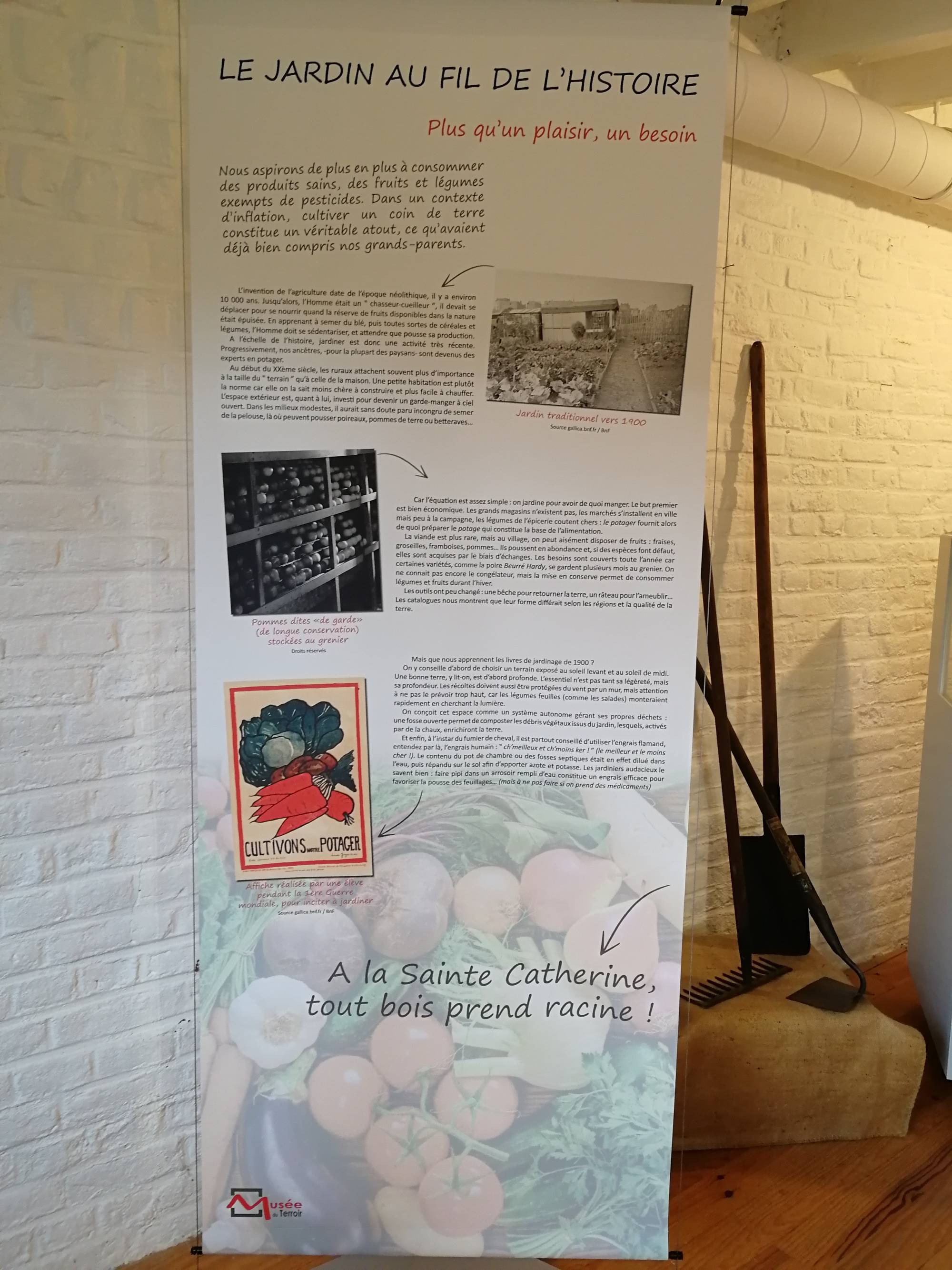 CHIRON 2024 LE MUSEE DU TERROIR IMG2