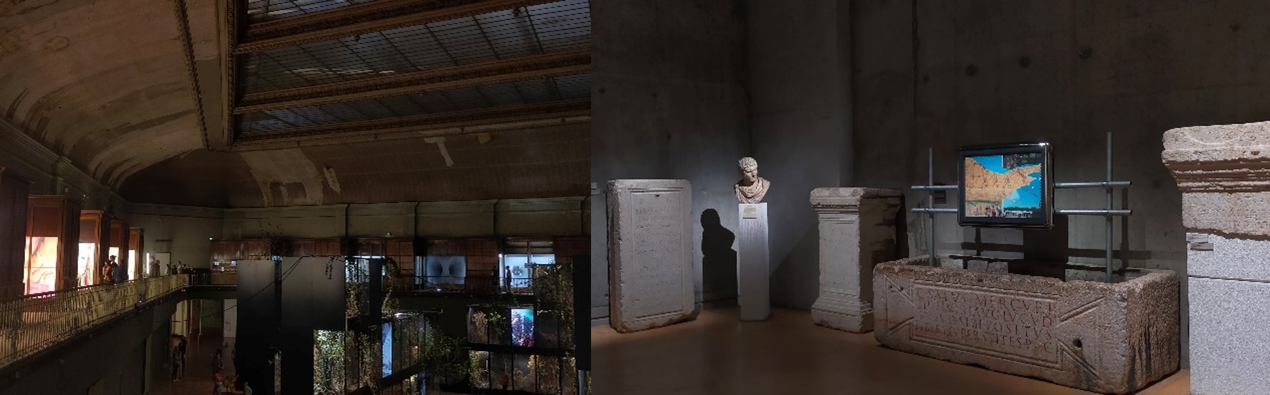 DUMONTEL 2022 BIENNALE IMG3