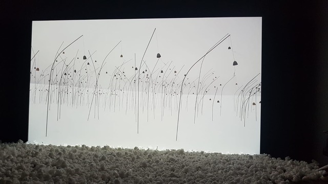 Delmas Gilles Animitas blanc IMG1