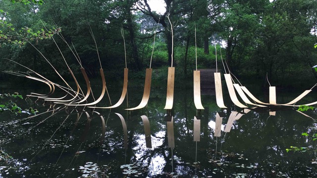 Delmas Sophie Convergence Pascale Planche IMG2