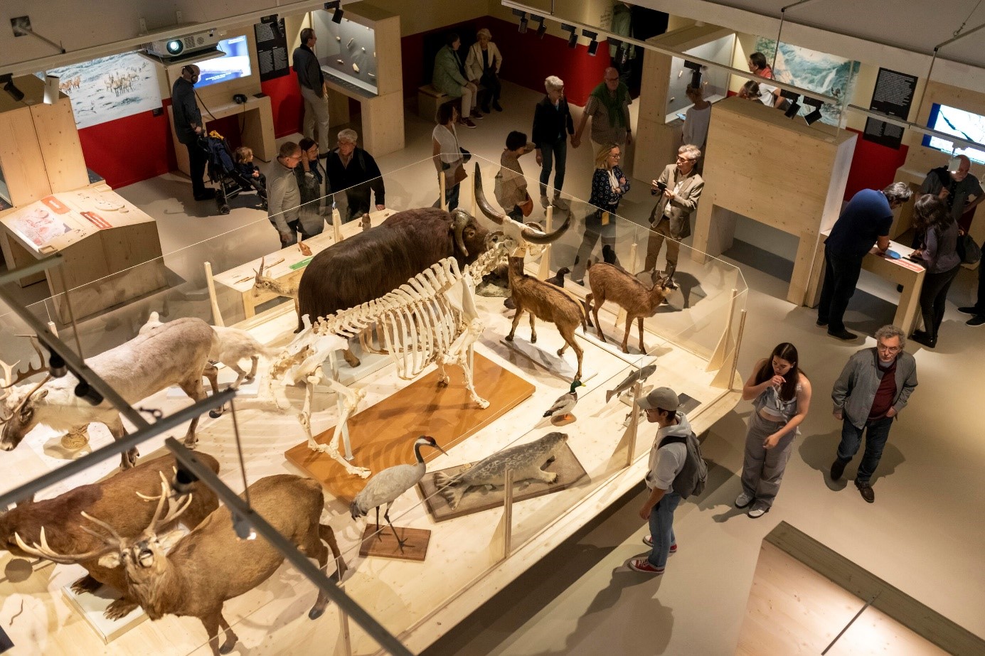 FAVREAU COLINE ART PREHISTORIQUE IMG1