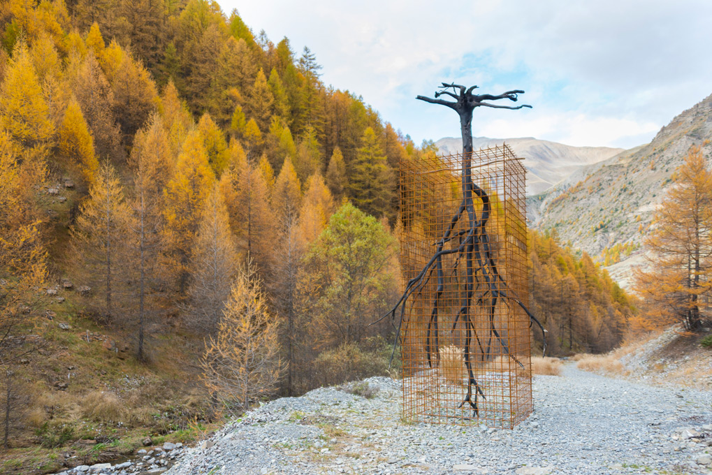 FROMAGER CAMILLE CHEMINSDETRAVERSE IMG6