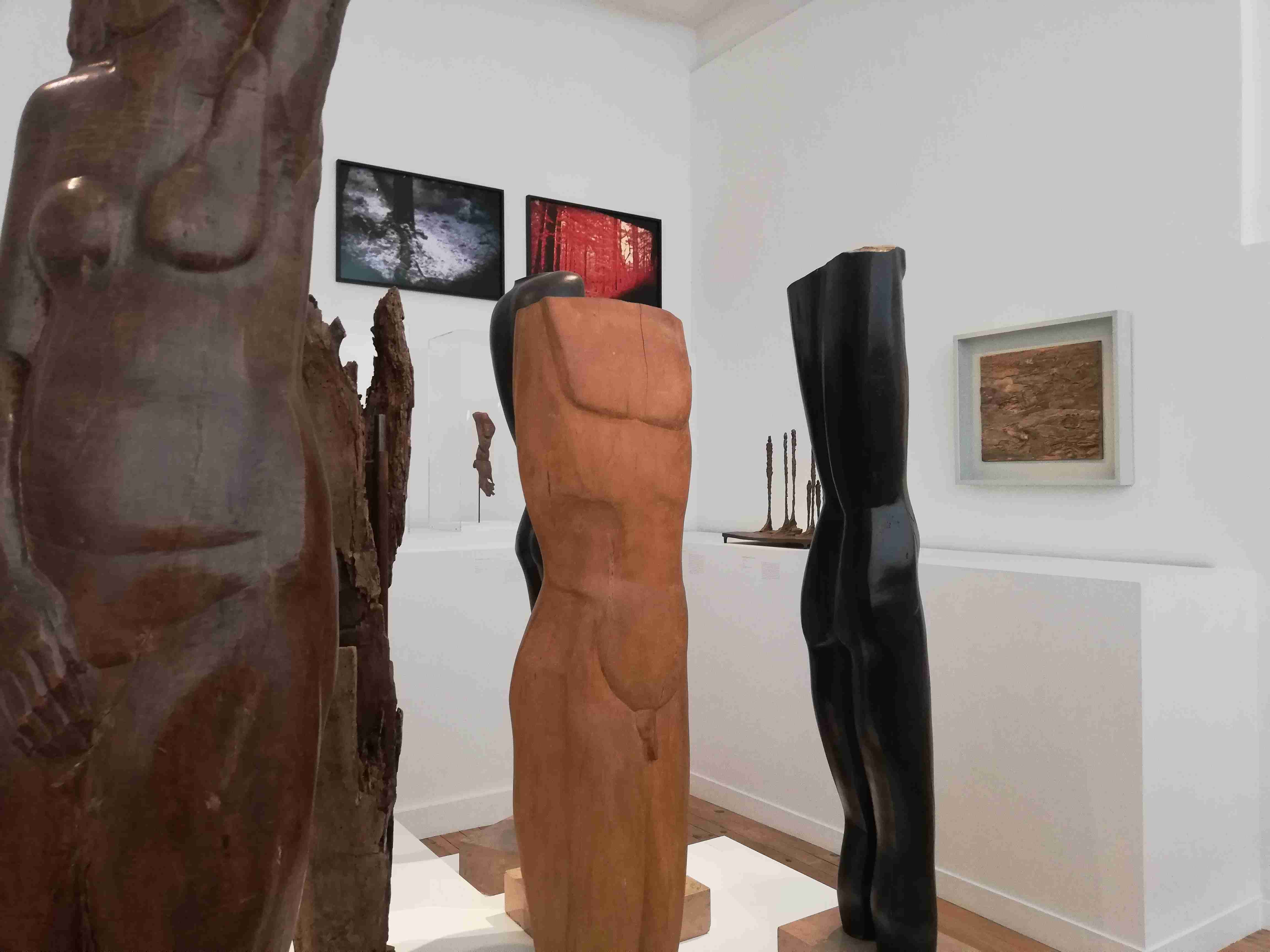 GARCIN JADE PROMENONS NOUS DANS LES BOIS IMG1 compressed