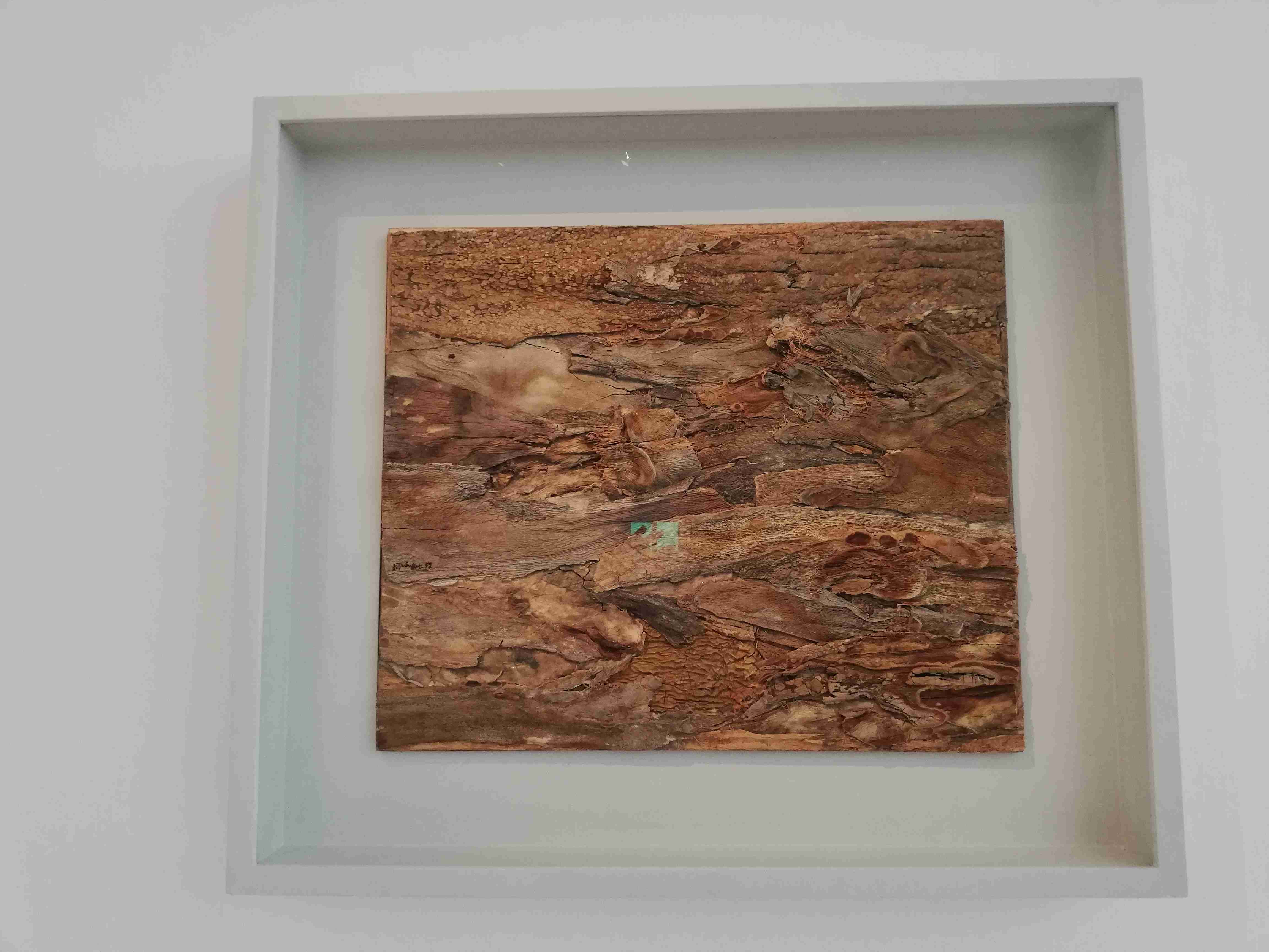 GARCIN JADE PROMENONS NOUS DANS LES BOIS IMG2 compressed