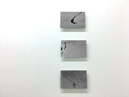 Jean larive Calais des oiseaux IMG03