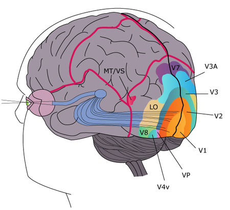 LEFAY LAURELINE PRESCRIPTION Img3