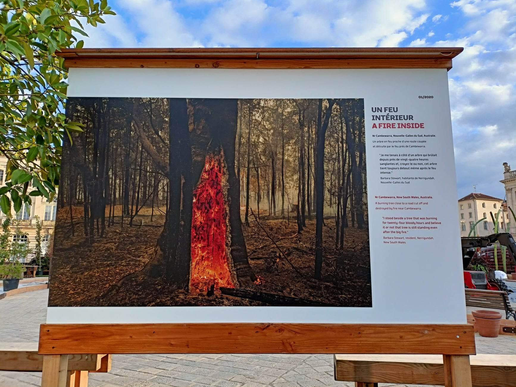 PERNET 2022 MuséePlafondBleu IMG2