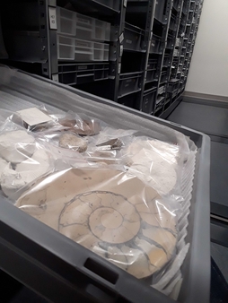 ROUDAUT CAMILLE LIRE MUSEE HLM IMG2 compressed