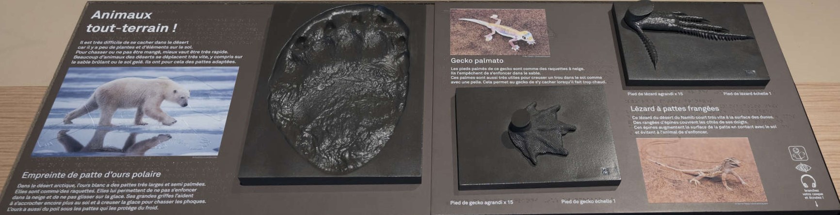 SCHRIVER 2025 Désert IMG5