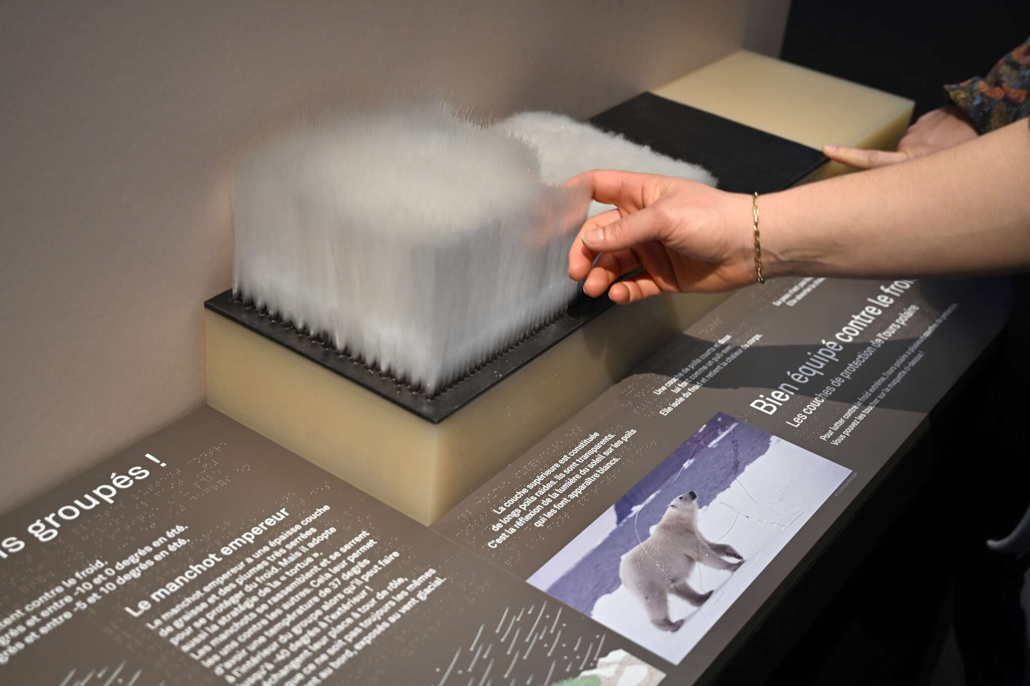 SCHRIVER 2025 Désert IMG6