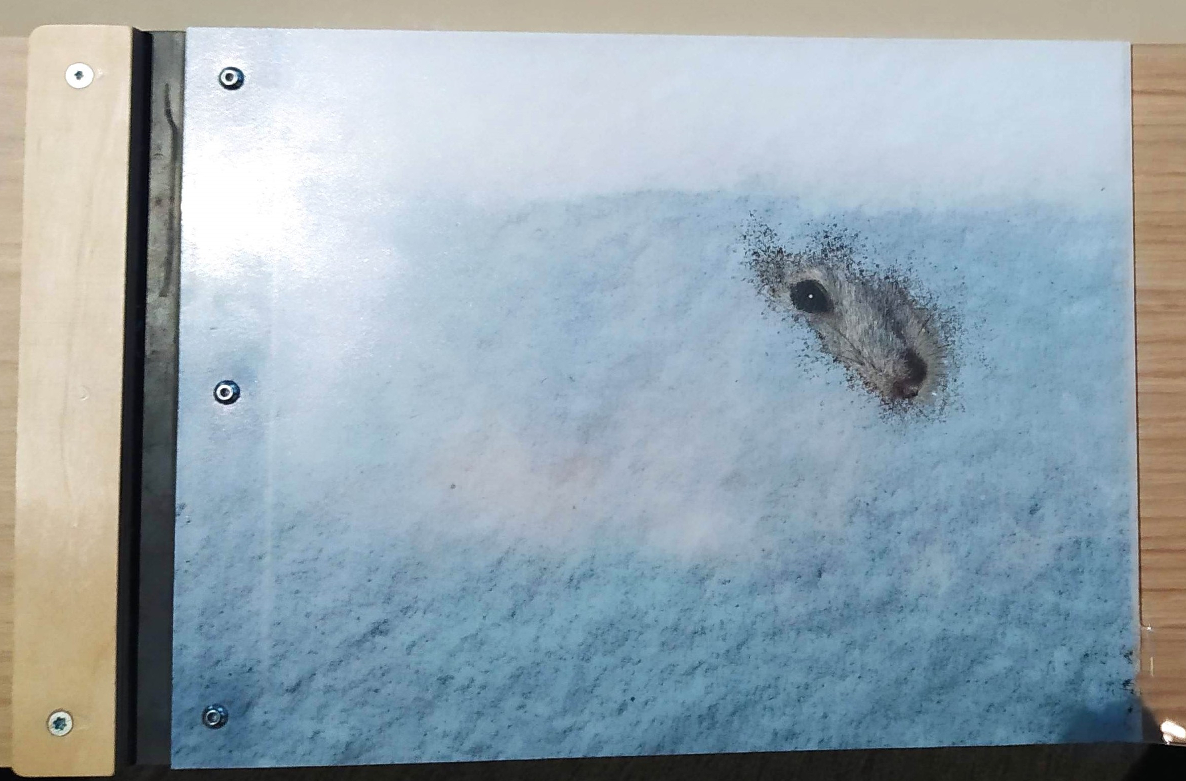 SCHRIVER 2025 Désert IMG9