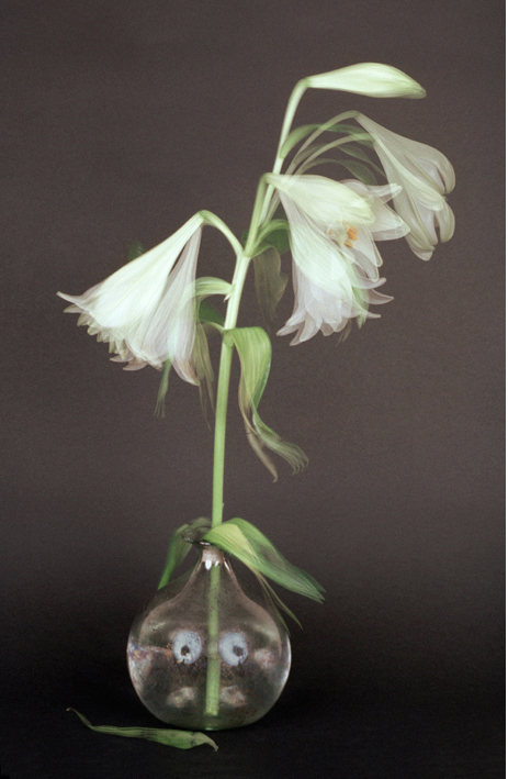 delms troisieme regrd img1