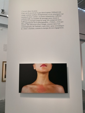 DE CARVALHO CLEMENCE CARTELS IMG3