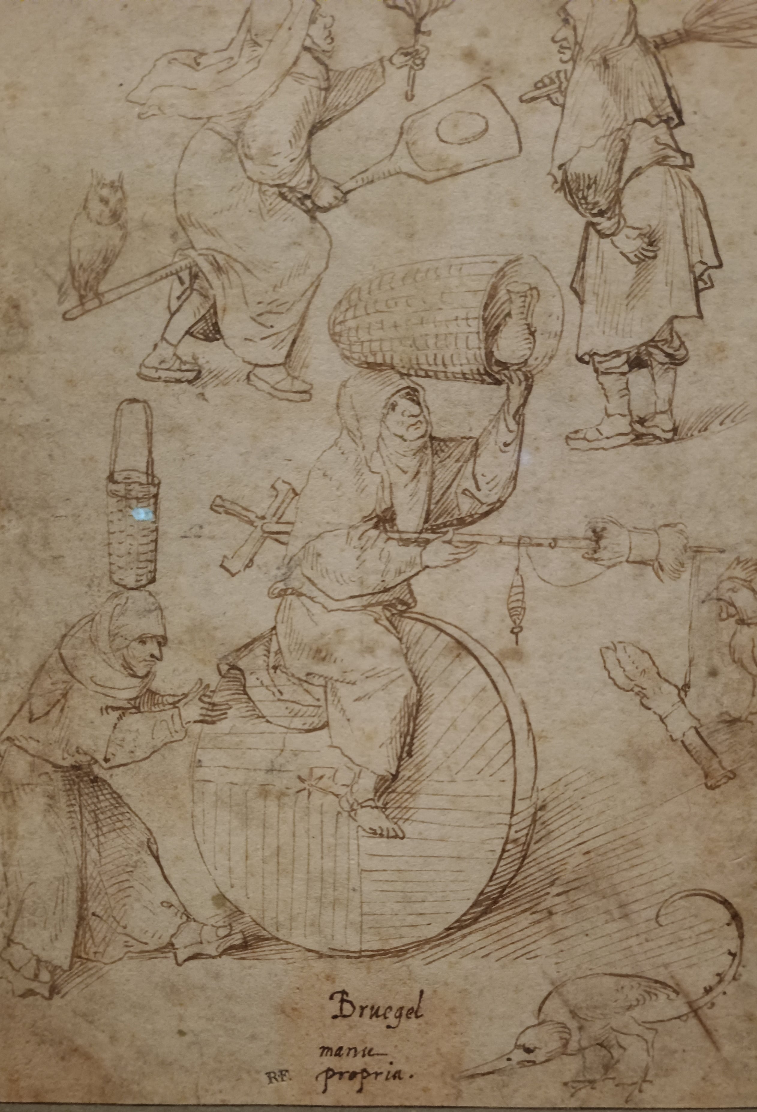 LOPS 2025 TOUS FOU IMG2 min