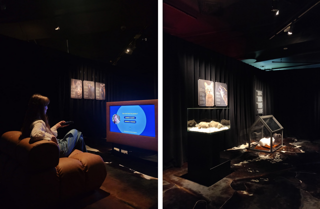 PARIS 2025 Sauvage IMG56