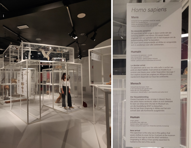 PARIS 2025 Sauvage IMG78