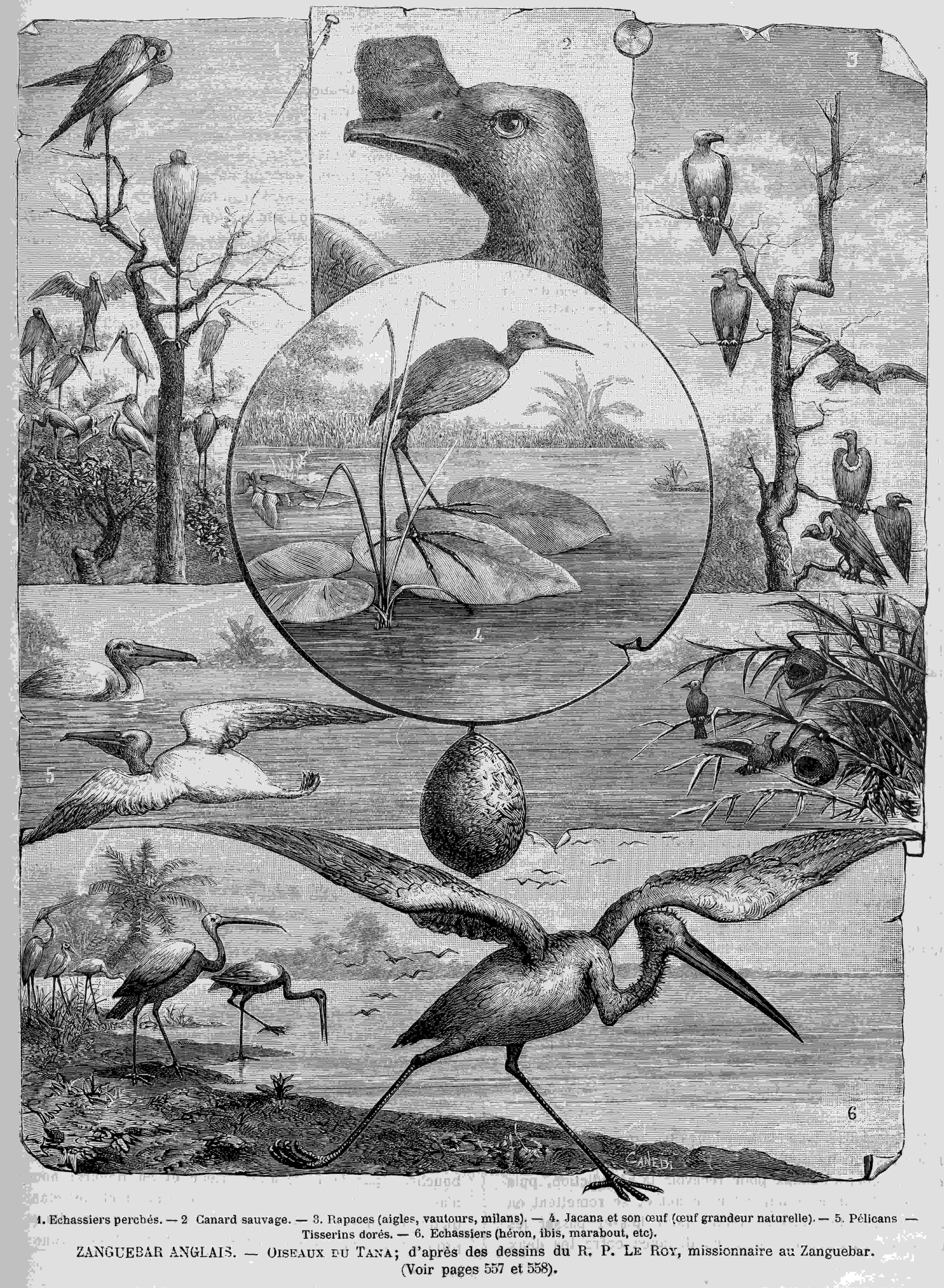 PERRUS 2021 VoyageAuCœurDesMissions IMG5