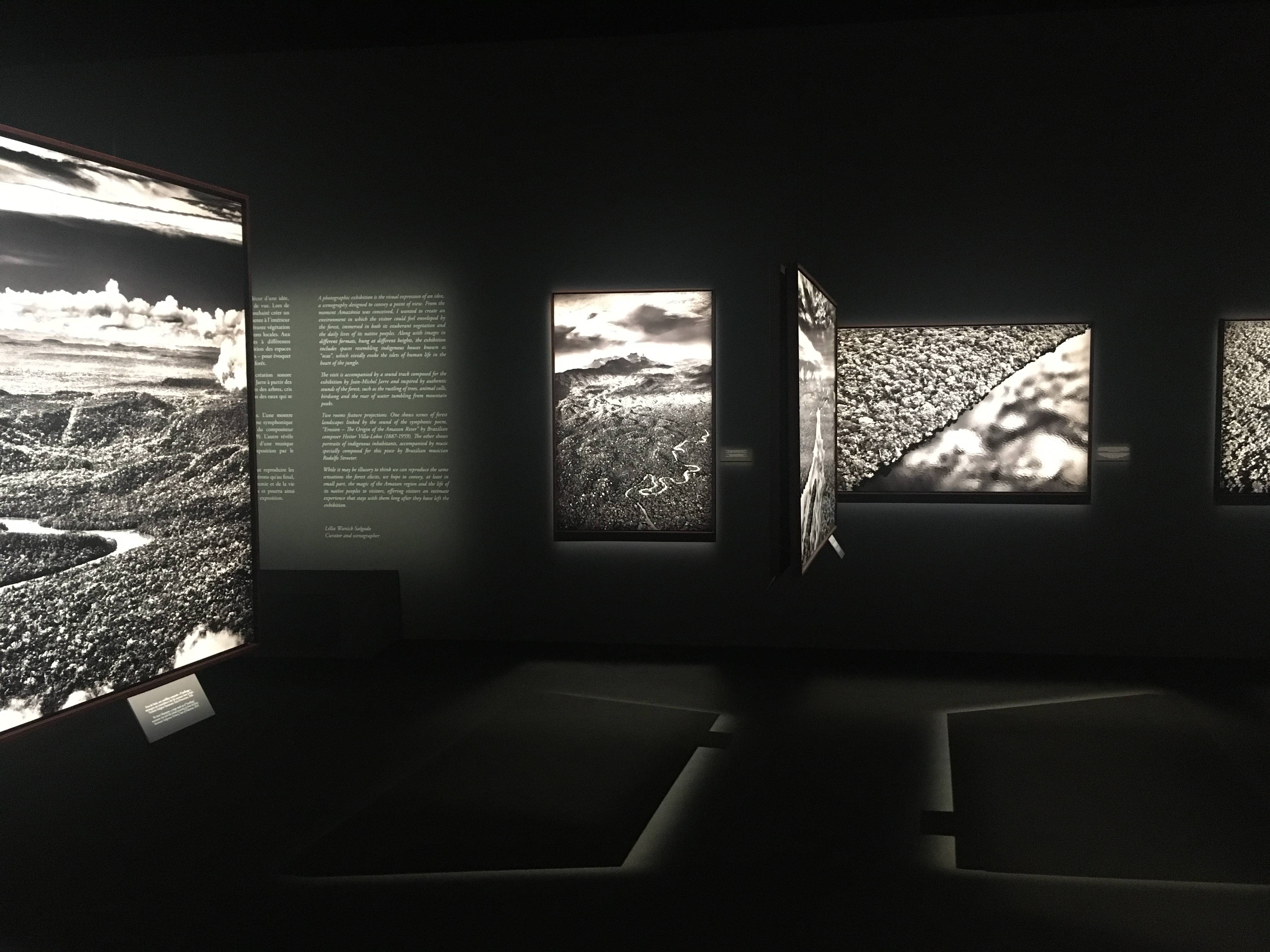 ROY MARION SALGADOAMAZONIA IMG1 compressed