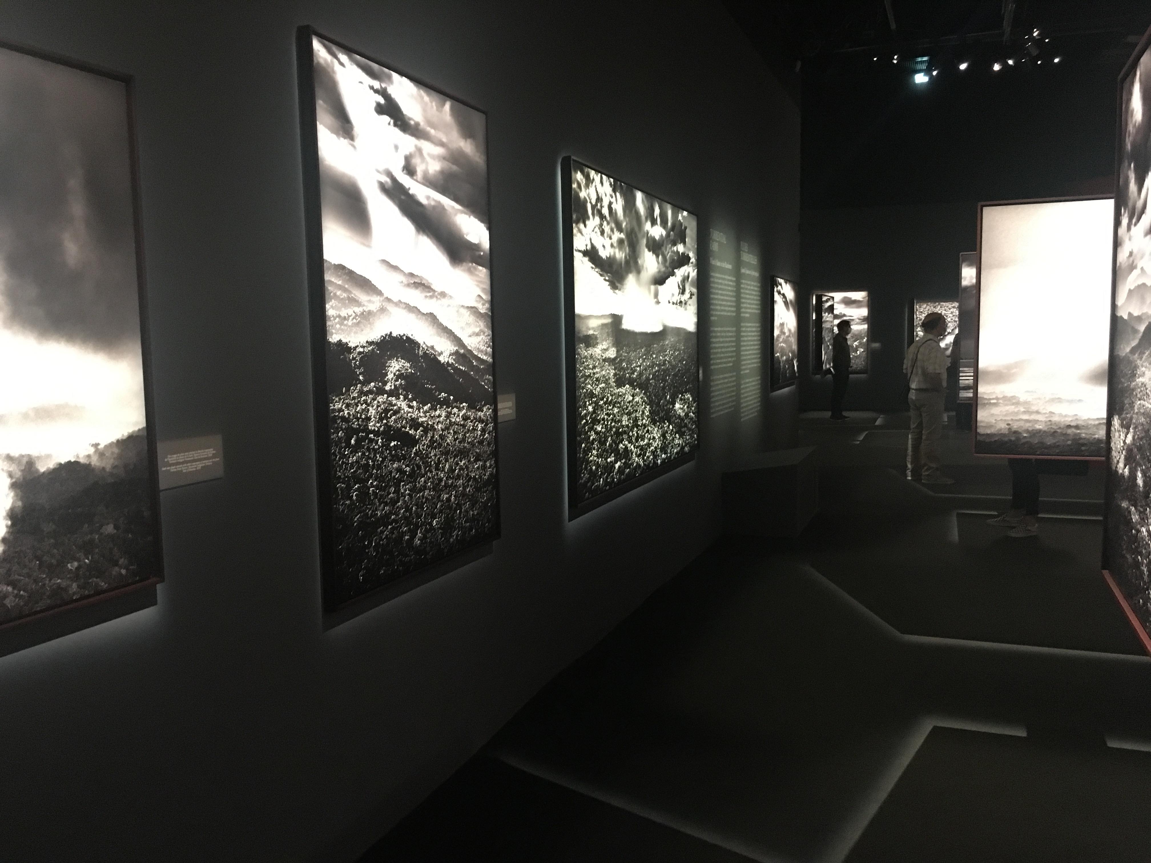 ROY MARION SALGADOAMAZONIA IMG3 compressed