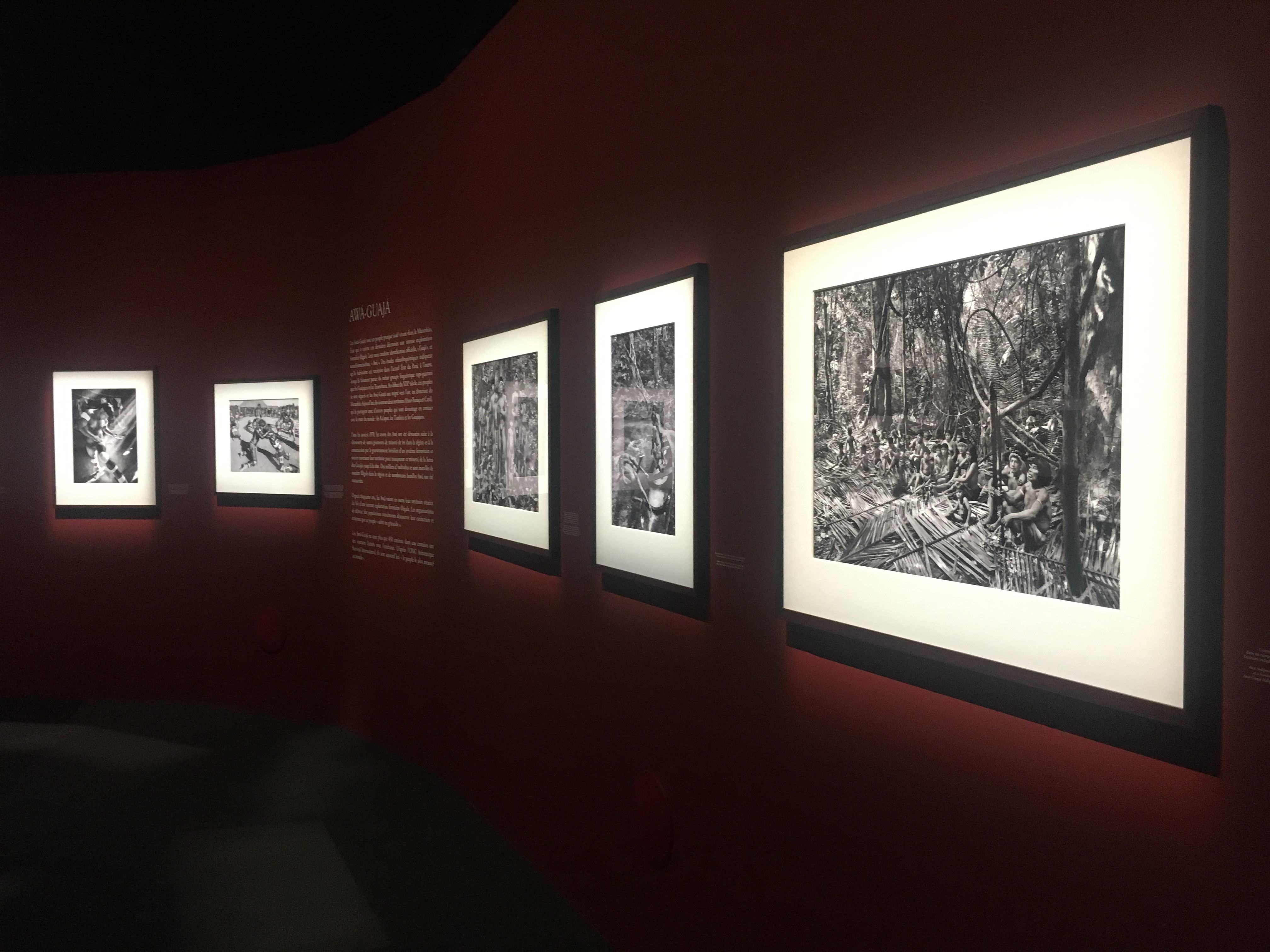 ROY MARION SALGADOAMAZONIA IMG5 compressed