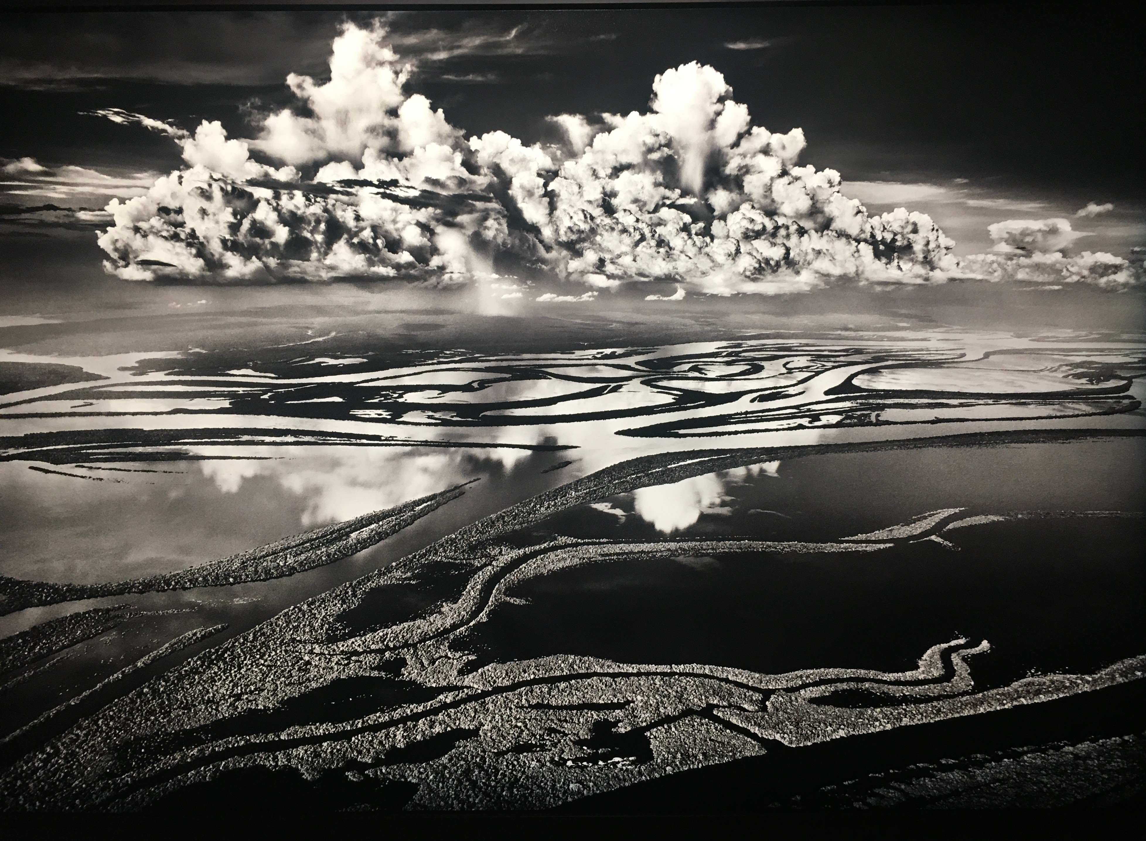 ROY MARION SALGADOAMAZONIA IMG6 compressed