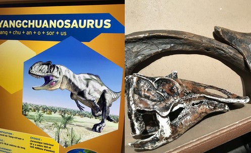 Toulemont Manon Jurassic World img4