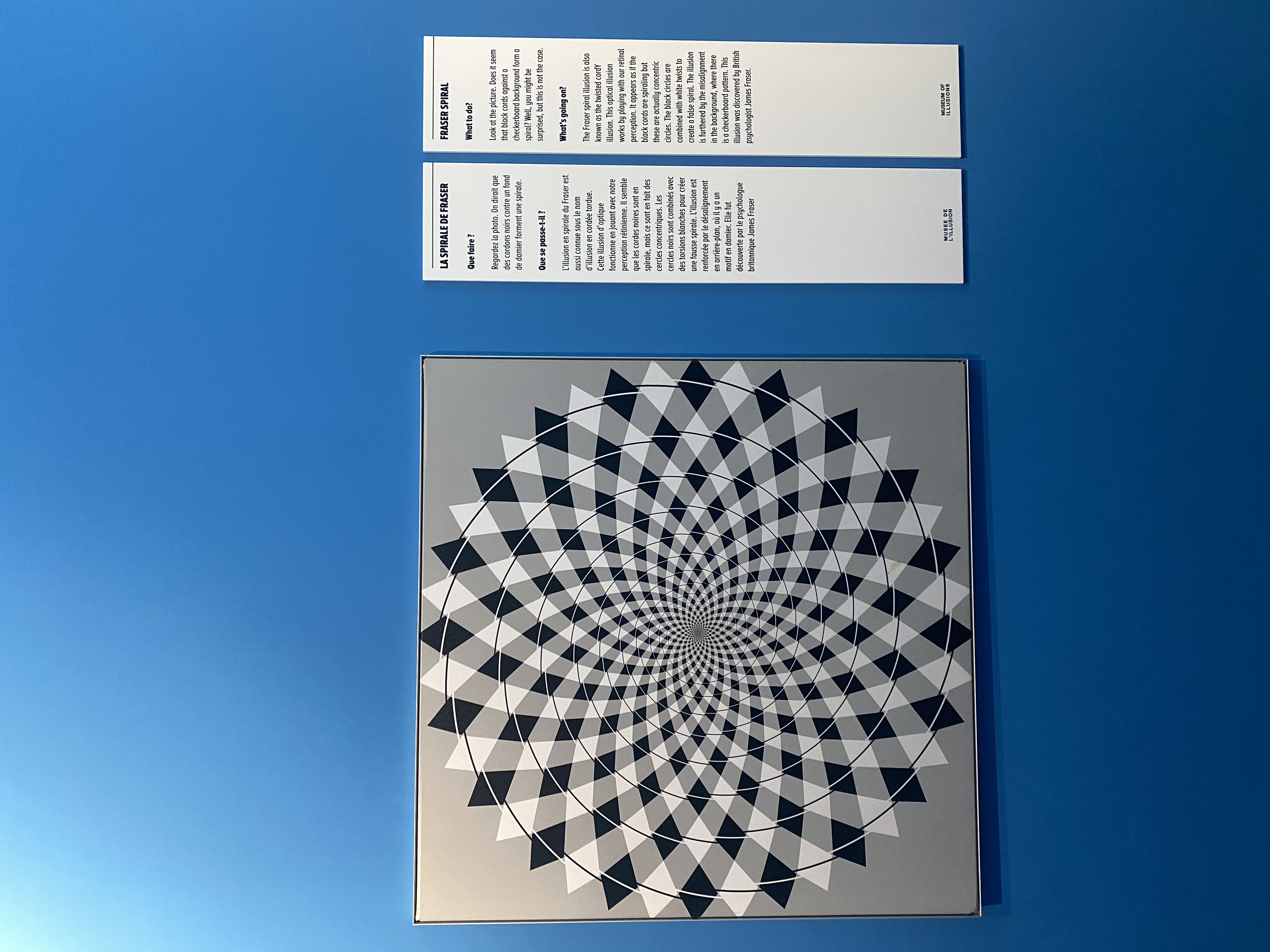 image.illusion.3
