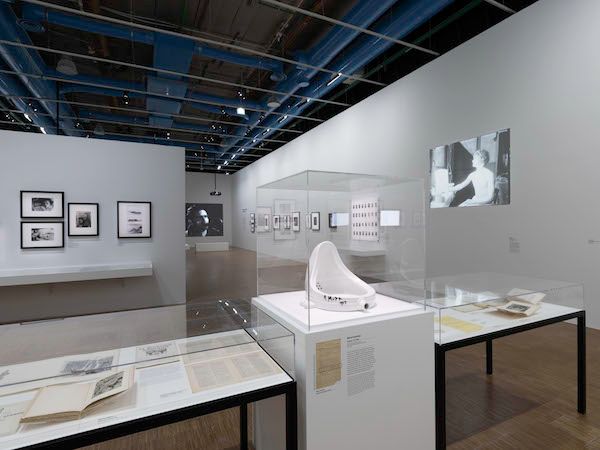 BOUVARDGUARINO 2023 expoLGBTQIAIMG2