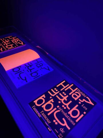 BOUVARDGUARINO 2023 expoLGBTQIAIMG7