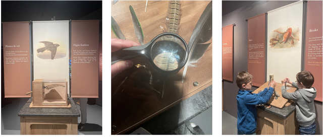 CATHERINE 2023 PLUMES IMG1