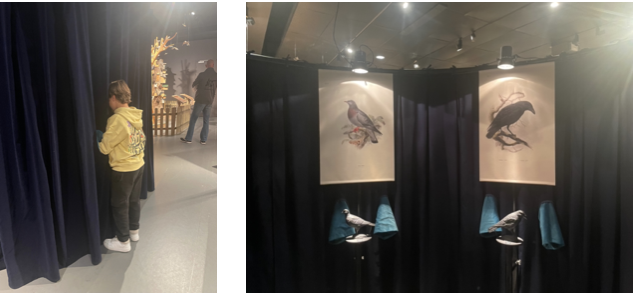 CATHERINE 2023 PLUMES IMG2