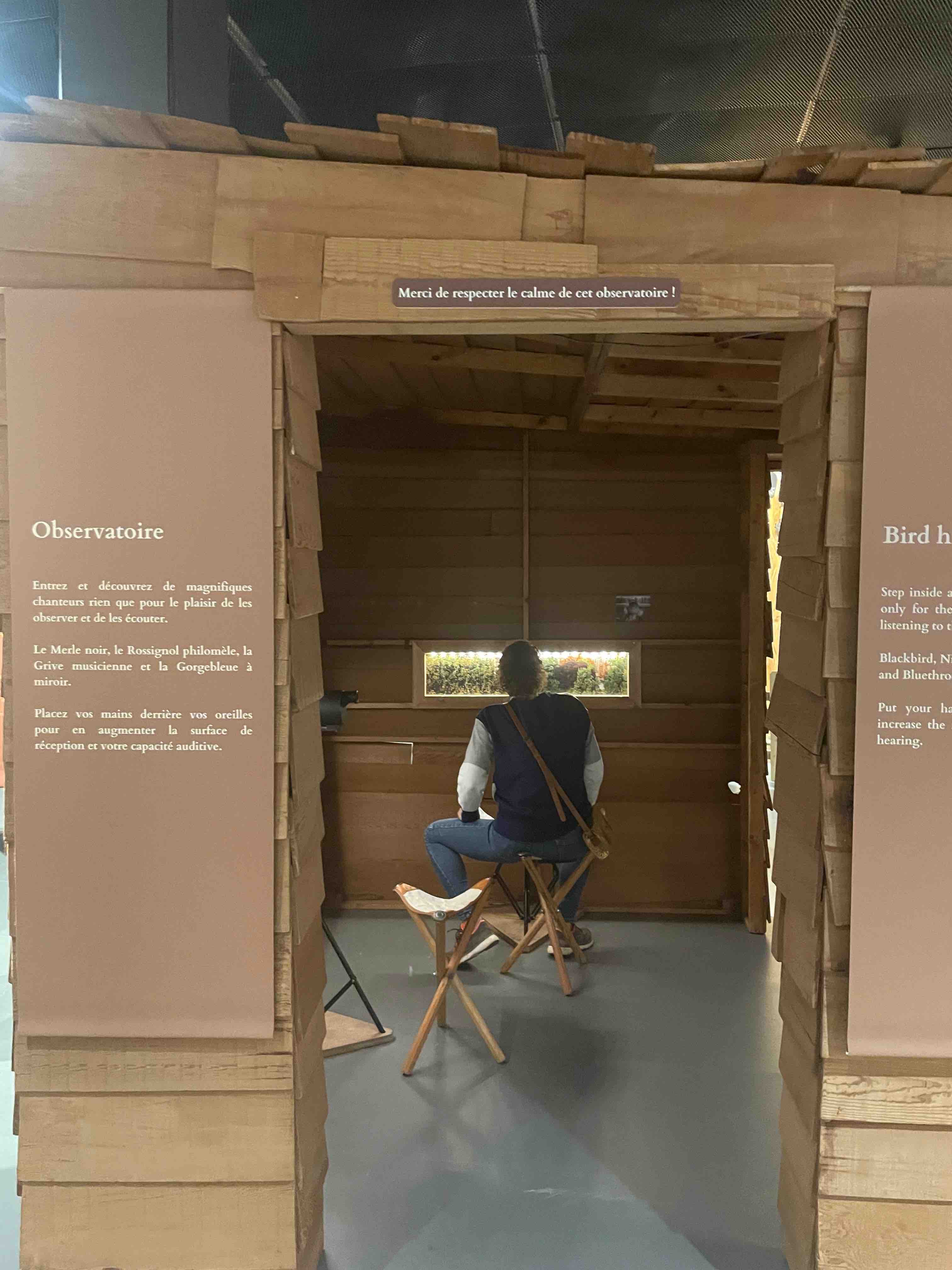 CATHERINE 2023 PLUMES IMG3