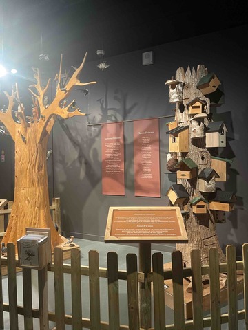 CATHERINE 2023 PLUMES IMG4