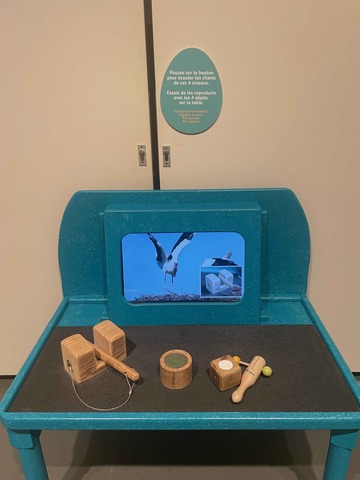 CATHERINE 2023 PLUMES IMG6