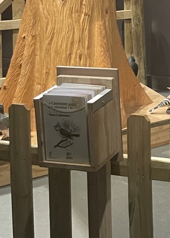 CATHERINE 2023 PLUMES IMG7