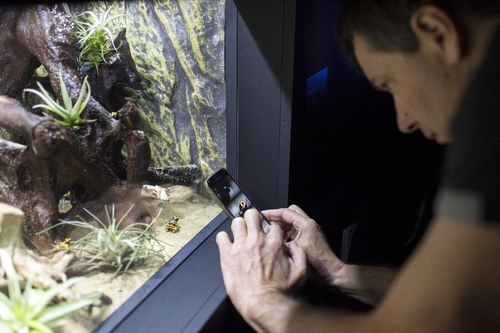 DE CARVALHO CLEMENCE EXPOSER LE VIVANT IMG1