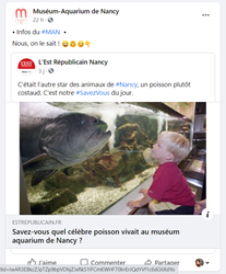 DE CARVALHO CLEMENCE EXPOSER LE VIVANT IMG2