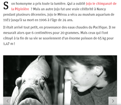 DE CARVALHO CLEMENCE EXPOSER LE VIVANT IMG3