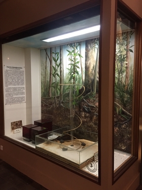 DE CARVALHO CLEMENCE EXPOSER LE VIVANT IMG4 compressed